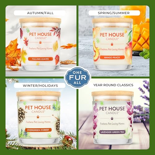 Fresh Citrus Scented Candle, Plant-Based Wax Candle, 2 Pack, Pet House - color: Fresh Citrus, size: Pack of 2