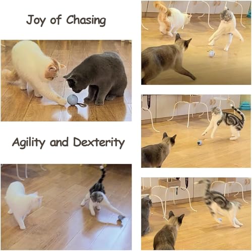 Migipaws Interactive Cat Ball Toy Set, Fun Tracker, Automatic Rolling Chase Ball with Fluffy Tail, A Small Mice, Rechargeable (White) - color: White