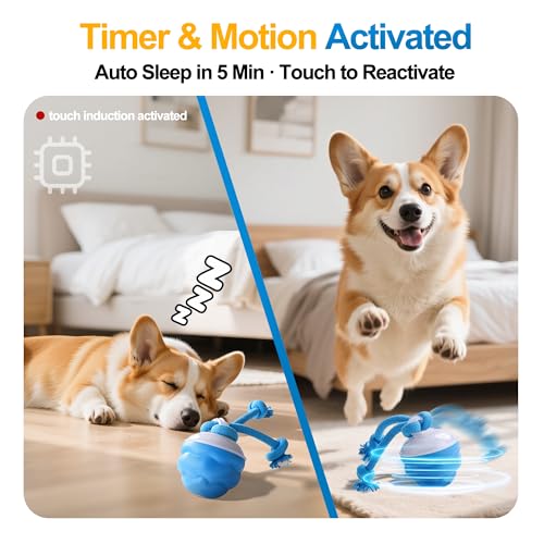 Interactive Dog Ball, Blue USB-C Rechargeable Rolling Toy