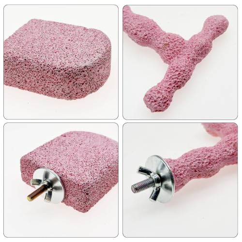 4 PC Bird Perch Stand Pet Teeth Grinding Stone for Small Birds - color: Cyan-Purple-Pink, size: Small