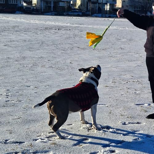 Flirt Pole For Dogs- Extendable Heavy Duty Flirt Pole For Dogs- Interactive Dog Training Toy w/ Interchangeable Lures & Instructional Guide- Engaging Heavy Duty Dog Toy- Flirt Pole For Large Pups