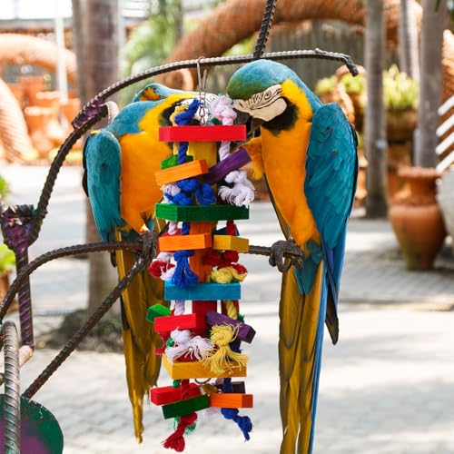 Soulchen 4 Pcs Extra Large Bird Parrot Toy Set, Natural Wooden Chewing Toy - style: Colorful Ring