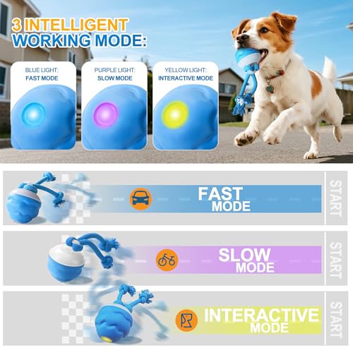 Interactive Dog Ball, Blue USB-C Rechargeable Rolling Toy