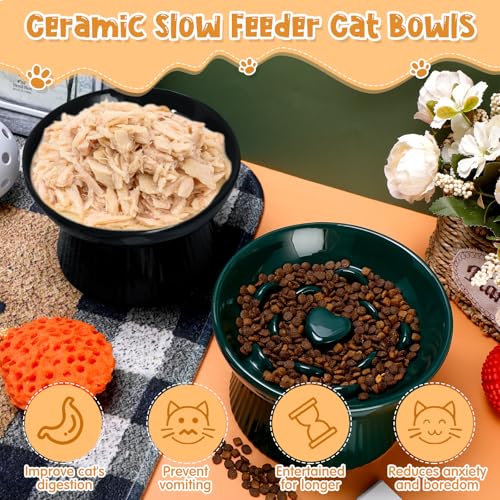 Tioncy 2 Pcs Ceramic Elevated Slow Feeder Cat Bowl, Dark Green, Black - color: Dark Green, Black
