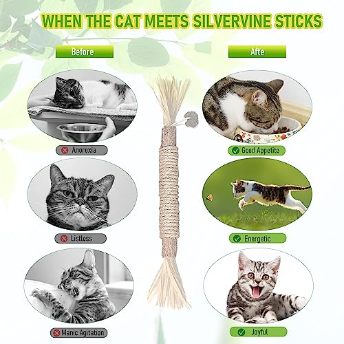 BAWAN Silvervine Sticks Cat Chew Toys for Indoor Cats Dental Care Teeth Cleaning, Natural Kitten & Cat Teething Toys for Health, Cat Chew Stick Suitable for All Breeds of Aggressive Chewers Cat - size: 5PCS