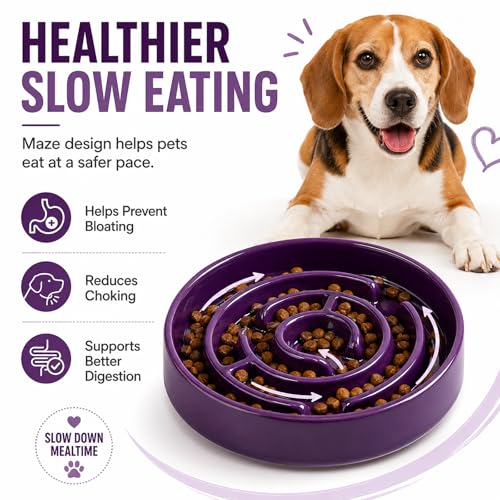 Ceramic Slow Feeder Dog Bowl,1.5 Cups Pet Slow Feeder for Small and Medium Breed,Puzzle Dog Food Dish,Anti-Gulping,Stop Bloat,Preventing Choking(Purple) - color: Purple
