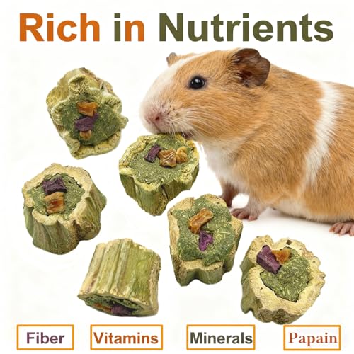 Rabbit Chew Toys for Teeth Guinea Pig Treats Papaya Toy for Bunny (3.5oz) - size: 3.5oz（A）