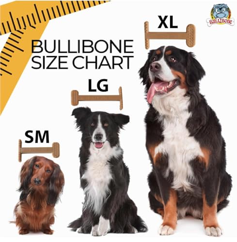 Bullibone Nylon Dog Chew Toy for Aggressive Chewers - Dental Hygiene Bone with Bacon Flavor, Durable Tough Chew Toys for Small Dogs, Indestructible Dog Bone - 3 Pack - size: Small - 3 Pack