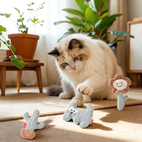 LIFLIX 3PCS Catnip Cat Toys, Cute Cat Nip Plush Toys for Indoor Cats, Interactive Small Cat Kicker Toys(3 Shapes) - color: Cactus, Cat, and Flower 3-Piece Set