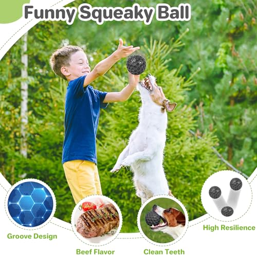 DISSKNIC Indestructible Squeaky Dog Balls, Dog Toys for Aggressive Chewers Large Breed for Relieving Anxiety, Tough Dog Chew Toys Balls for Aggressive Chewers, Outdoor Squeaky Dog Toys for Large Dogs - color: Black, size: Large