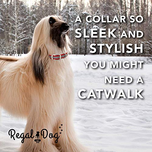 Regal Dog Products Reflective Dog Collar, Durable Metal Buckle, Small Red - color: Red, size: Small