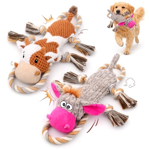 2-Pack Squeaky Crinkle Plush Dog Toys