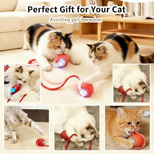 Interactive Cat Toy Ball, Automatic Rolling Toy, 3 Play Modes Rechargeable