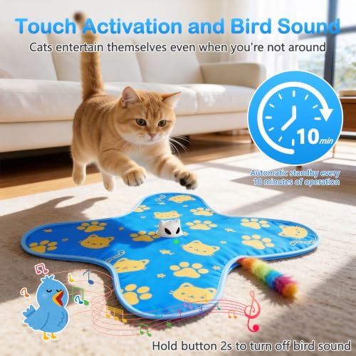 Interactive Cat Toys for Indoor Cats, Rechargeable Hide & Seek Toy - color: Blue