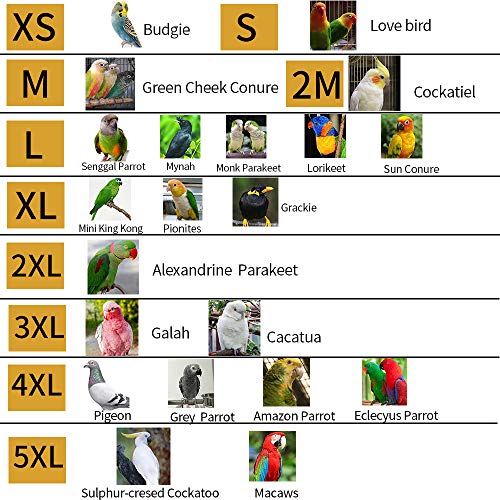 Bird Flight Harness Vest, Parrot Flight Suit with Leash for Parakeets Cockatiels Conures Budgies, Bird Flying Clothes with Rope and Handle for Outdoor Activities Training, Anti Bite (M) - size: M