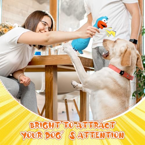 6 Pcs Latex Chicken Squeaky Dog Toys for Small Med Dogs, Cute Style