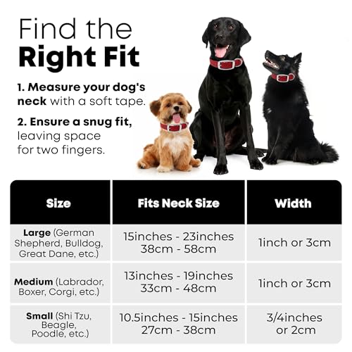 Regal Dog Products Reflective Dog Collar, Durable Metal Buckle, Small Red - color: Red, size: Small