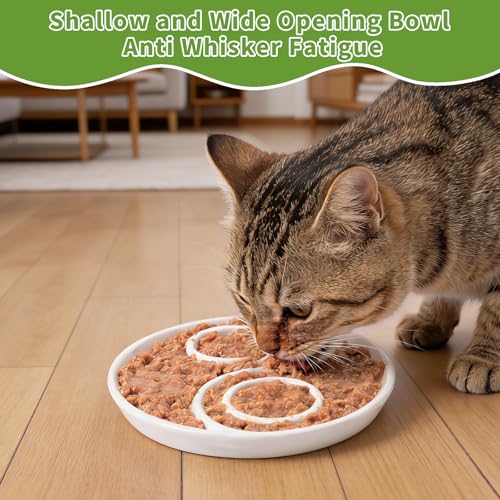 Ceramic Cat Slow Feeder,Shallow and Wide Opening Dish for Whisker Friendly