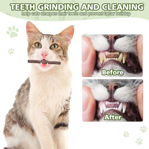 WOUSEDO 6 Pack Silvervine Sticks for Cat, Natural Catnip Toys - size: 6 Pack