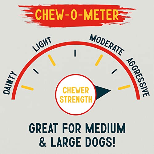 Canine Chews 10-11" Rawhide Bones for Large Dogs, Durable USA Beefhide Dog Rawhide Chews, Retriever Rolls 20 Pack (5 lbs) - size: 20 Count (Pack of 1)