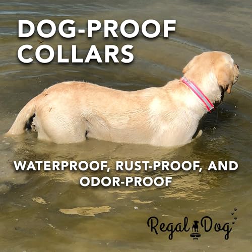 Regal Dog Products Reflective Dog Collar, Durable Metal Buckle, Small Blue - color: Blue, size: Small
