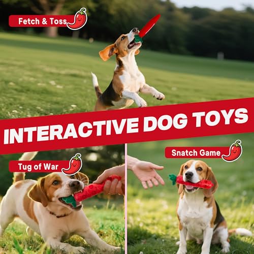 Fida 2-in-1 Puppy Teething Toys, Natural Rubber Chew Toys for Dogs, Chilly - color: Red Chilly