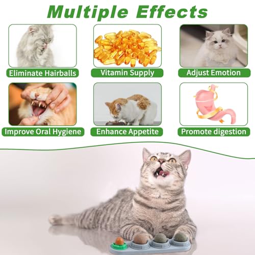 CCINEE Catnip Balls for Cats Wall Catnip Toys Edible Cat Toys for Cat Lick Safe Healthy Kitten Chew Toys Teeth Cleaning Dental Cat Toys(4 Flavor) - color: 4PCS