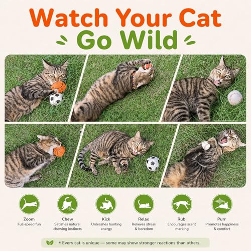 Agape Organic Catnip & Silvervine Filled Cat Toy Balls with Bell Sound - size: 4 Ball Set