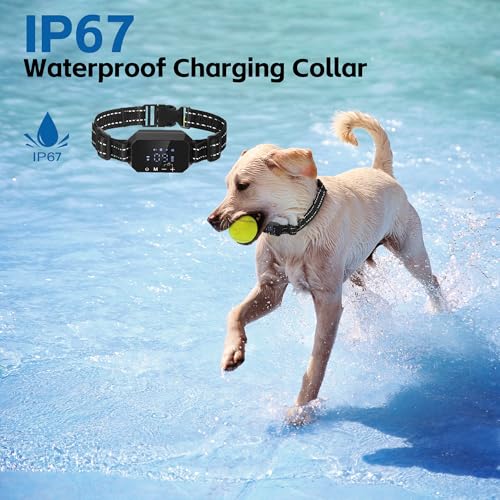 Flirt Pole for Dogs & GPS Wireless Dog Fence for Small Medium Large Dogs Training Playing Exercise