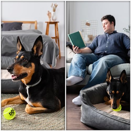 INSUM Squeaky Tennis Balls for Dogs, 2.5 Inch, 20 Pack Squeaky Dog Balls - color: Yellow, size: Medium - 20 Pack