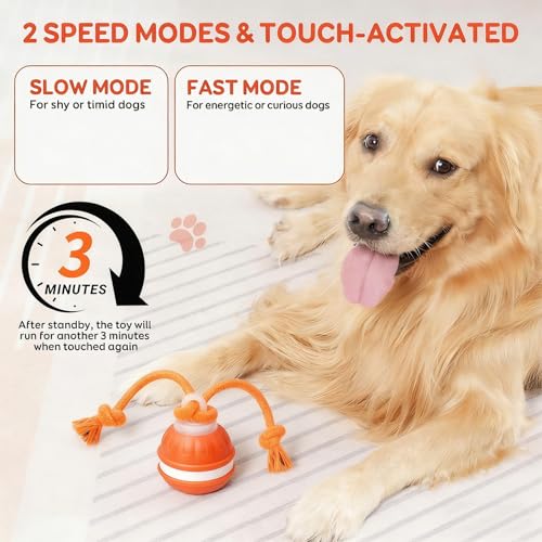 Interactive Dog Toys, Automatic Rolling Ball, Squeak Dog Toys for Boredom Interactive, Touch Activated, Dog Ball Chew Toy with Fun Rope for Small/Medium Dog Cat Indoor/Outdoor (Orange) - color: Orange