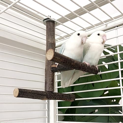 Natural Wood Bird Perches for Cage, Parrot Cage Perch Stand, Cage Accessories, Wooden Platform for Birds, Toys for Parakeets, Cockatiel, Budgie, Conure - color: Tperches