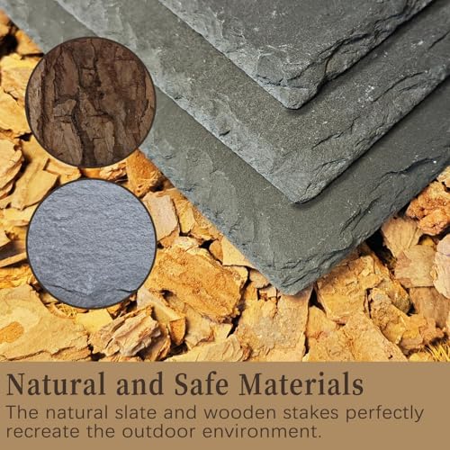Bearded Dragon Basking Platform,Natural Slate Reptile Basking Rocks,L