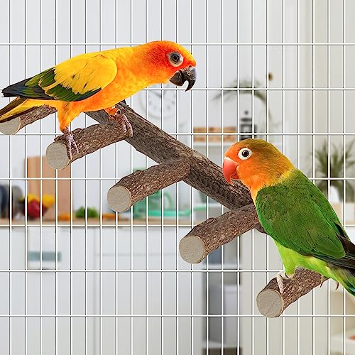Parrot Wood Stand, Parrots Perch for Cage, Natural Bird Ladder