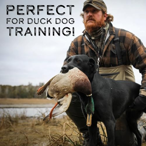 Dog Training Scent for Hunting Dogs - Great Nosework for a Duck or Bird Dog - style: Duck