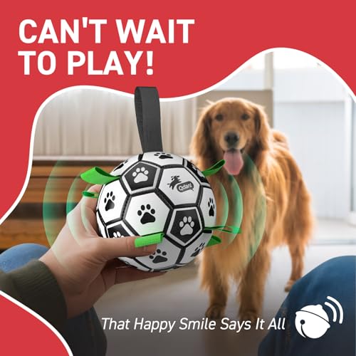 QDAN Dog Soccer Balls with Bell Inside, Squeaky Dog Balls, Birthday Gifts - color: Squeaky Green, size: Medium Size 2 (6 Inch)