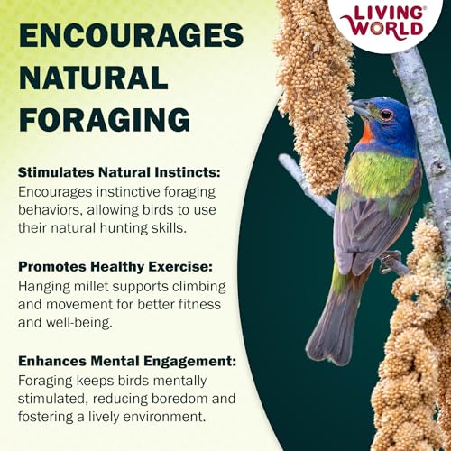 Living World - Millet Spray for Birds, 7 Oz - size: 7 Ounce (Pack of 1)