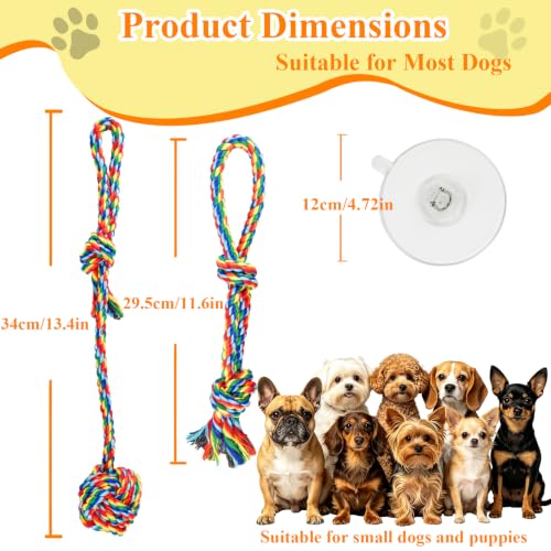 Flirt Pole for Dogs & Suction Cup Dog Tug Toy Heavy Duty, Interactive Chase & Tug of War Teaser Wand with Detachable Replacement Knot Ball and Rope Chewing Toys Flirt Stick