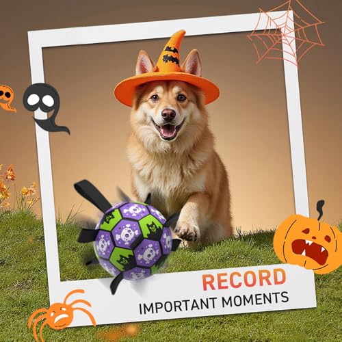 QDAN Halloween Dog Toys Balls with Straps, 8 Inch Large Dog Herding Balls - color: Halloween, size: Large Size 3 (8 Inch)