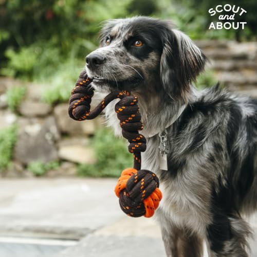 P.L.A.Y. Cute Outdoor Dog Toys - Scout & About Tug Ball Rope Toy, Great for Puppies & Small, Medium, Large Dogs - Machine Washable, Ultra-Durable, Good for Agility Training, Tugging, Fetch (Large)