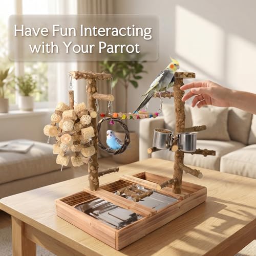 Bird Perch Stand, Multi-Layer Bird Playground, Parrot Cockatoo Parakeet Chew Toys