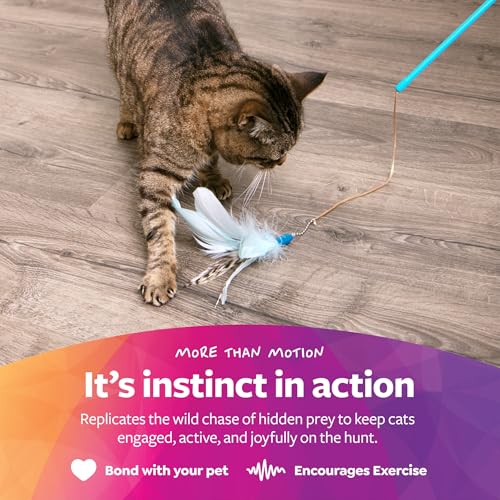 Frisky Flyer, Interactive Cat Toy, Extendable and Retractable Wand with Feathers - The Wand Handle Easily Extends Up to 24" to Engage Cats in High-Flying Fun and Retracts Back Down for Easy