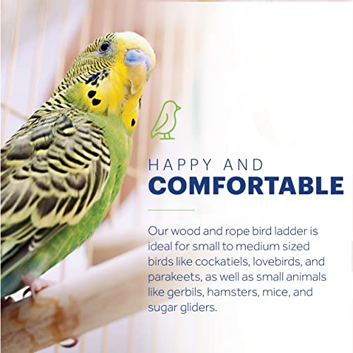 Prevue Pet Products Rope Ladder Bird Toy Hanging Birdcage Toy for Climbing - size: Small to Medium