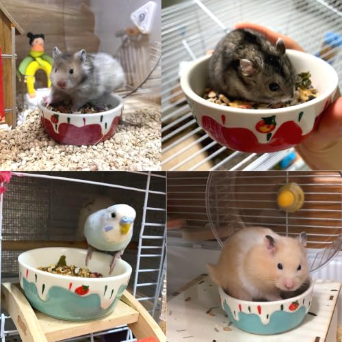 2 Pack Ceramic Guinea Pig Food Bowl Hamster Food Bowls for Gerbil Rat - color: Red + Blue