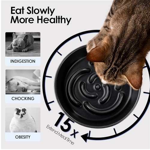 Ceramic Slow Feeder Dog Bowl for Small Dogs & Cats, 6 Inch Puzzle Pet Food Dish, Non-Slip Heavy Design, Helps Reduce Fast Eating, Bloating & Indigestion, Dishwasher Safe (Midnight Black) - color: Midnight Black