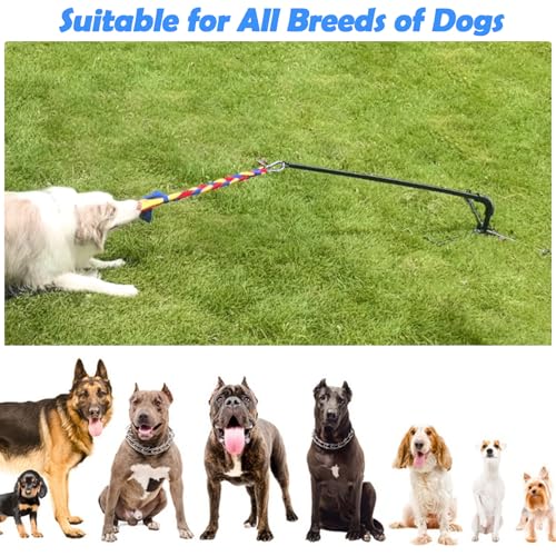 Tether Outdoor Dog Toy,Interactive Exercise Game in Yard Park