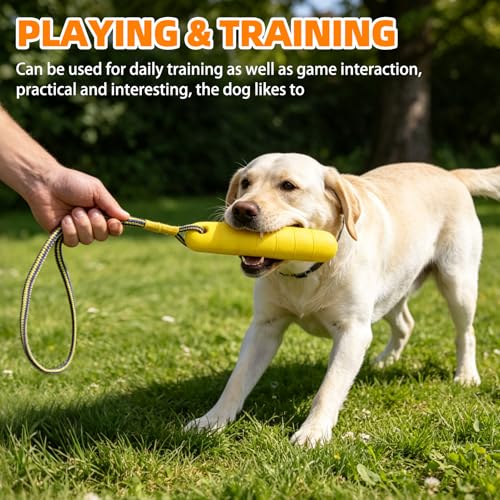 PUPTECK Interactive Dog Pool Toys Water Floating Toys Fetch Training Bumpers 4 Pack, Orange & Yellow - color: 4 Pack (Orange & Yellow)