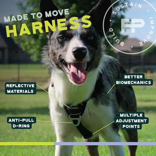 FitPaws® Made to Move® No-Pull Dog Harness, Neck Buckle, Black, Large - color: Black, size: Large