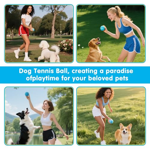 PHOEPET 6-Pack Tennis Balls for Beginner Training Practice- Bulk Dog Balls - color: Blue-6 Pack, size: Medium 2.5"- 6 Pack