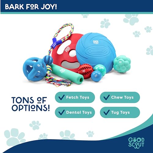 Good Scout Tumbler Ball - Aggressive Chew Toy for Puppies & Adult Dogs, No Stuffing for Medium & Large Dogs - style: Tumbler Ball